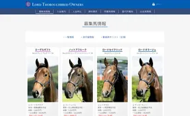 ロードTO 募集馬