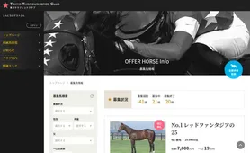 東京サラブレッドクラブ 募集馬情報
