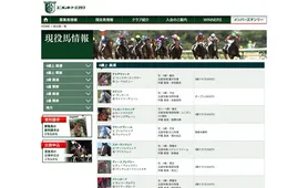 ユニオンオーナーズクラブ 現役馬一覧